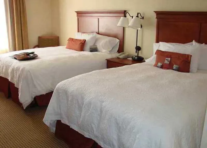 Hotel Hampton 3*